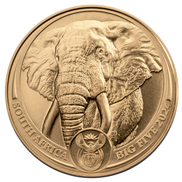 1 oz Big 5 Elephant Goldmünze | 2024